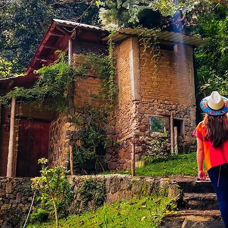 Eco-Hotel Mayachik サン・ファン・ラ・ラグナ エクステリア 写真