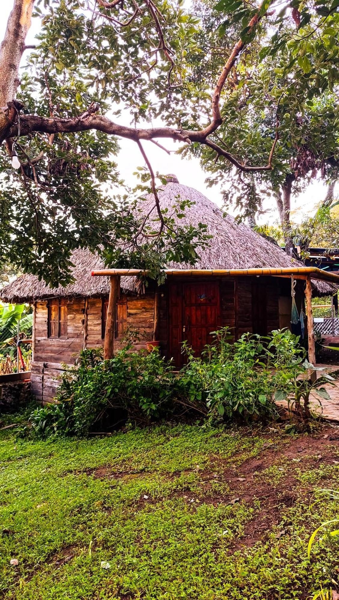 Eco-Hotel Mayachik サン・ファン・ラ・ラグナ エクステリア 写真