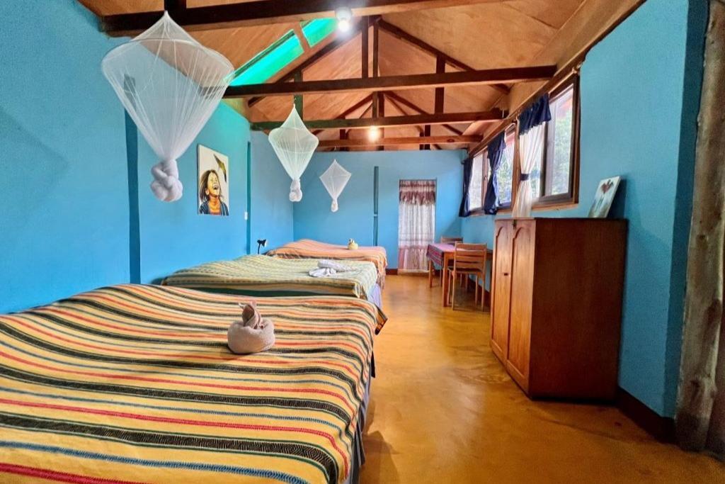 Eco-Hotel Mayachik サン・ファン・ラ・ラグナ エクステリア 写真