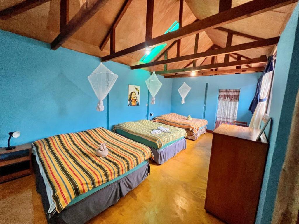Eco-Hotel Mayachik サン・ファン・ラ・ラグナ エクステリア 写真